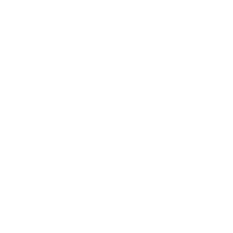 STREAMER