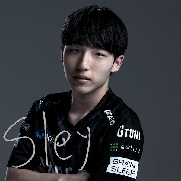 Sley