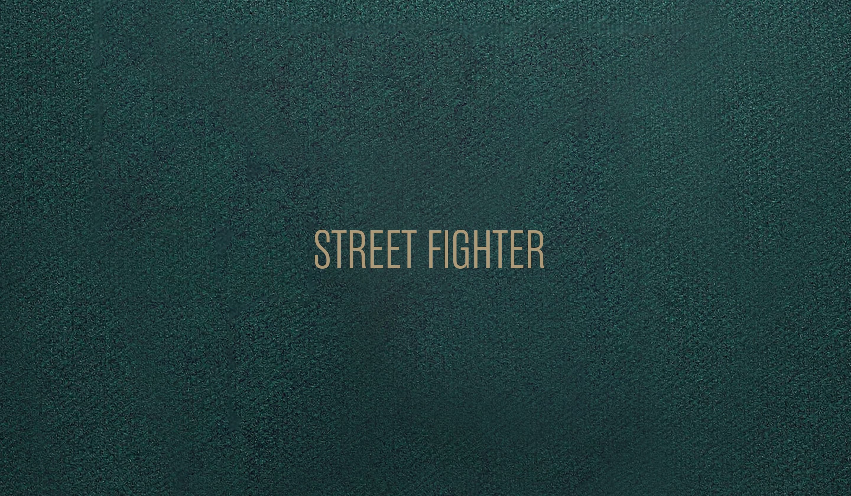 STREET FIGHTER